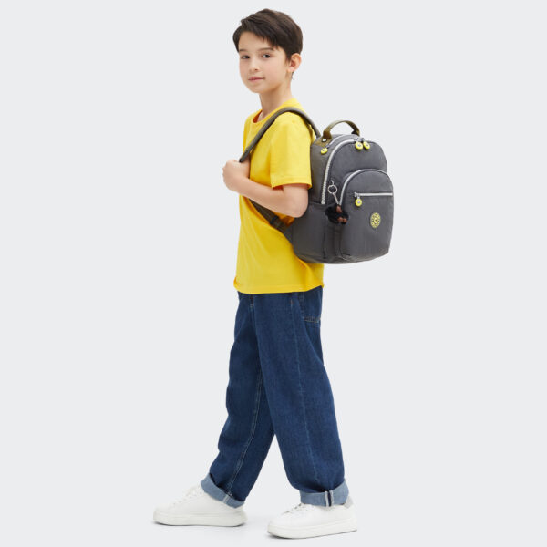 SEOUL S BACK TO GREY - Image 3