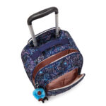 NEW ZEA DISCO FISH - Image 6