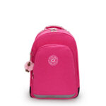 CLASS ROOM INTENSE ROSE