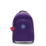 CLASS ROOM VIP PURPLE