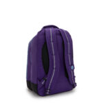 CLASS ROOM VIP PURPLE - Image 4